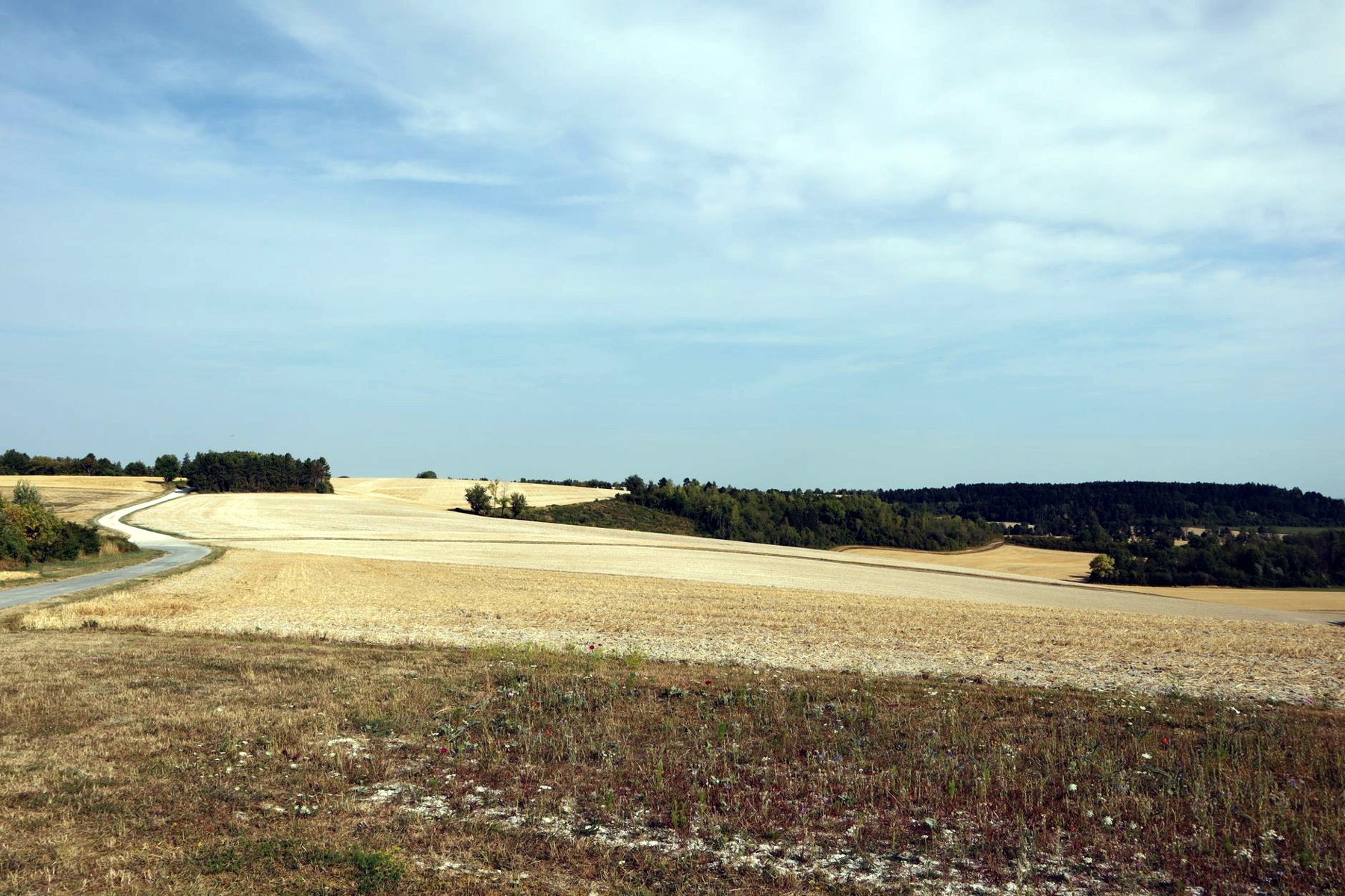 Route entre les champs moissonnés