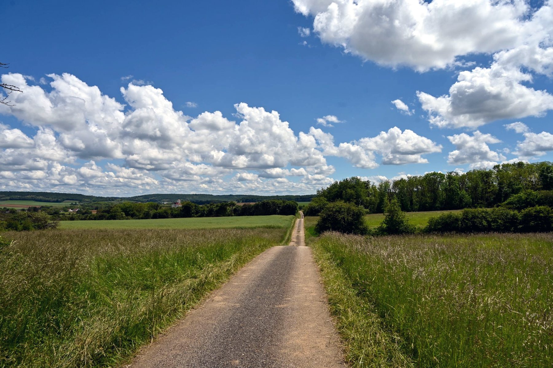 Chemin entre les champs sous un ciel de cumulus