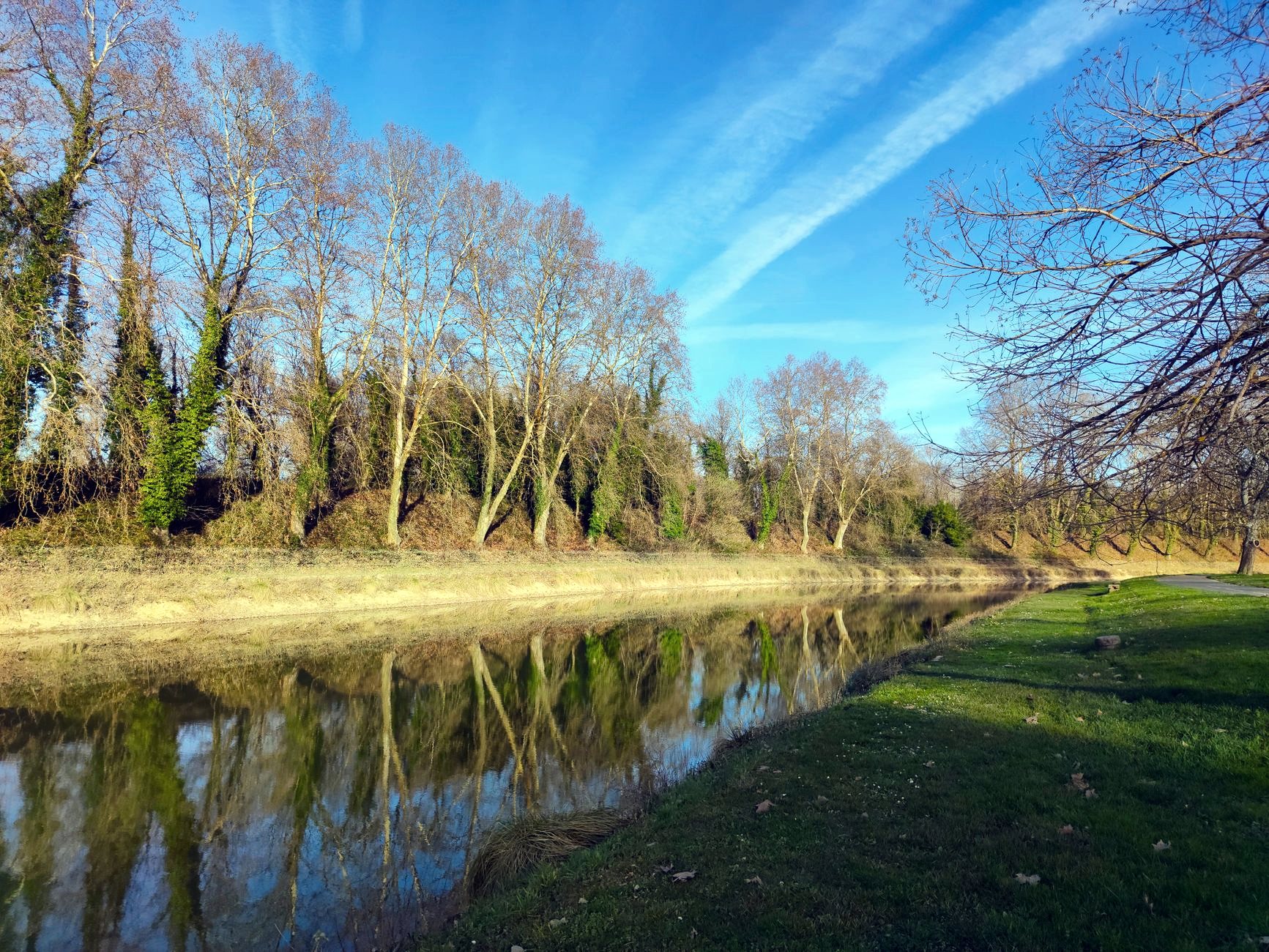 Rivière bordée d'arbres